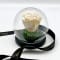 Cloche Eternal Pearl